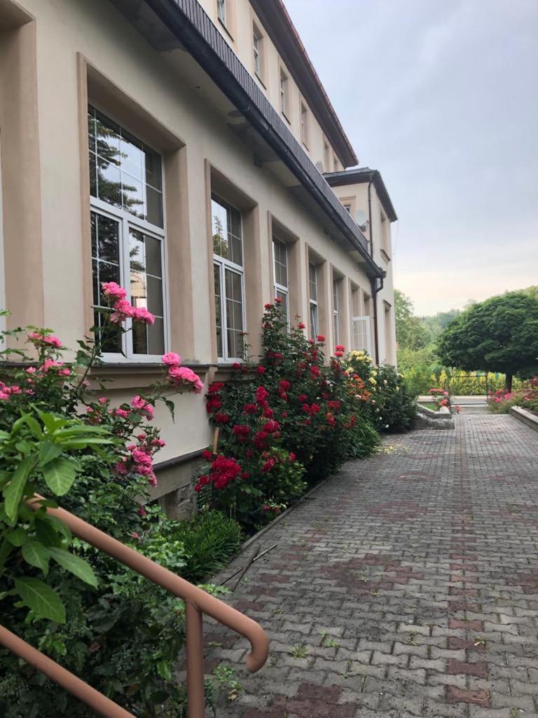 Grandhotel Nový Bor Екстериор снимка